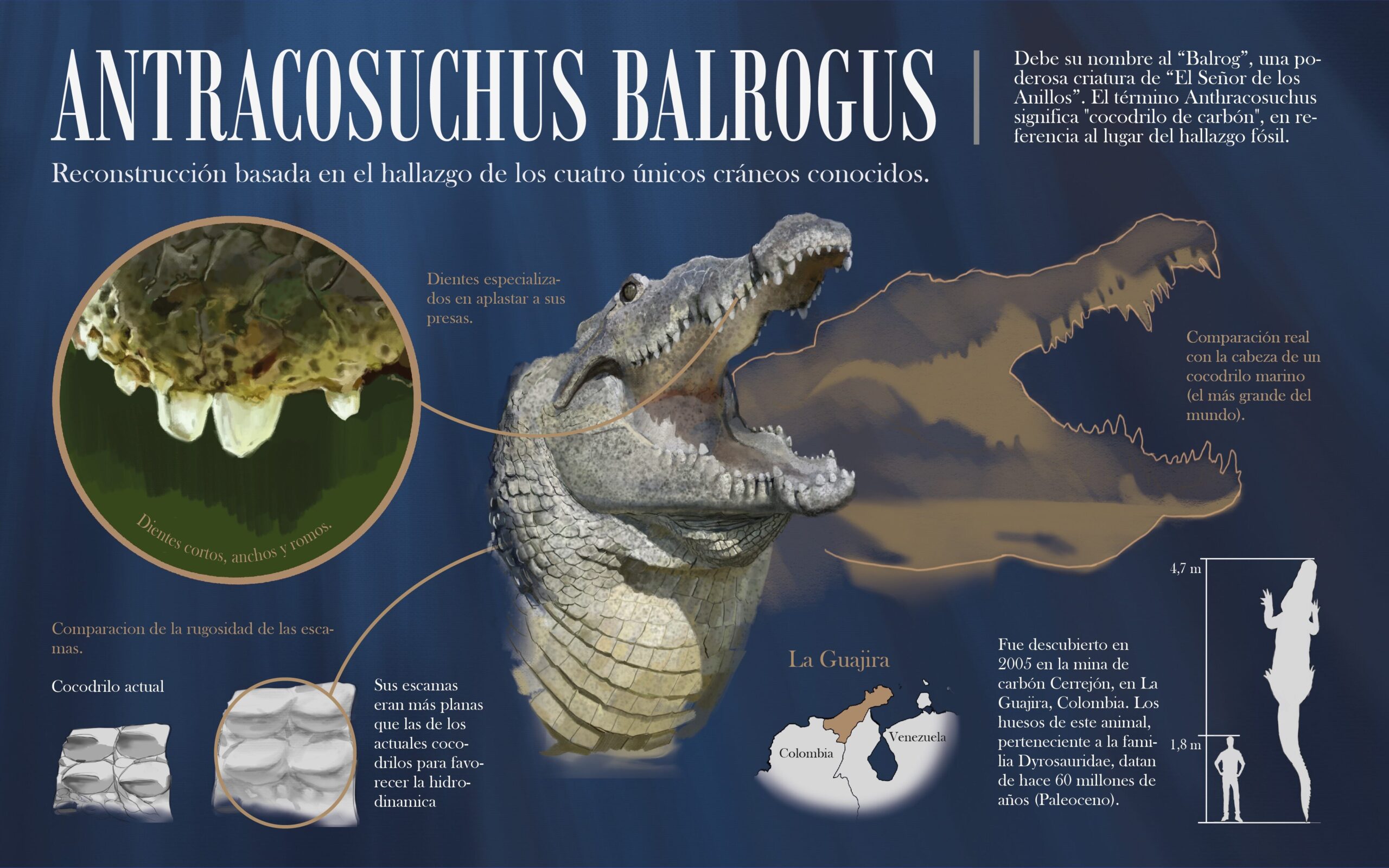Miniatura de la infografía científica naturalista paleoartística del Anthracosuchus balrogus de Dario Zoel