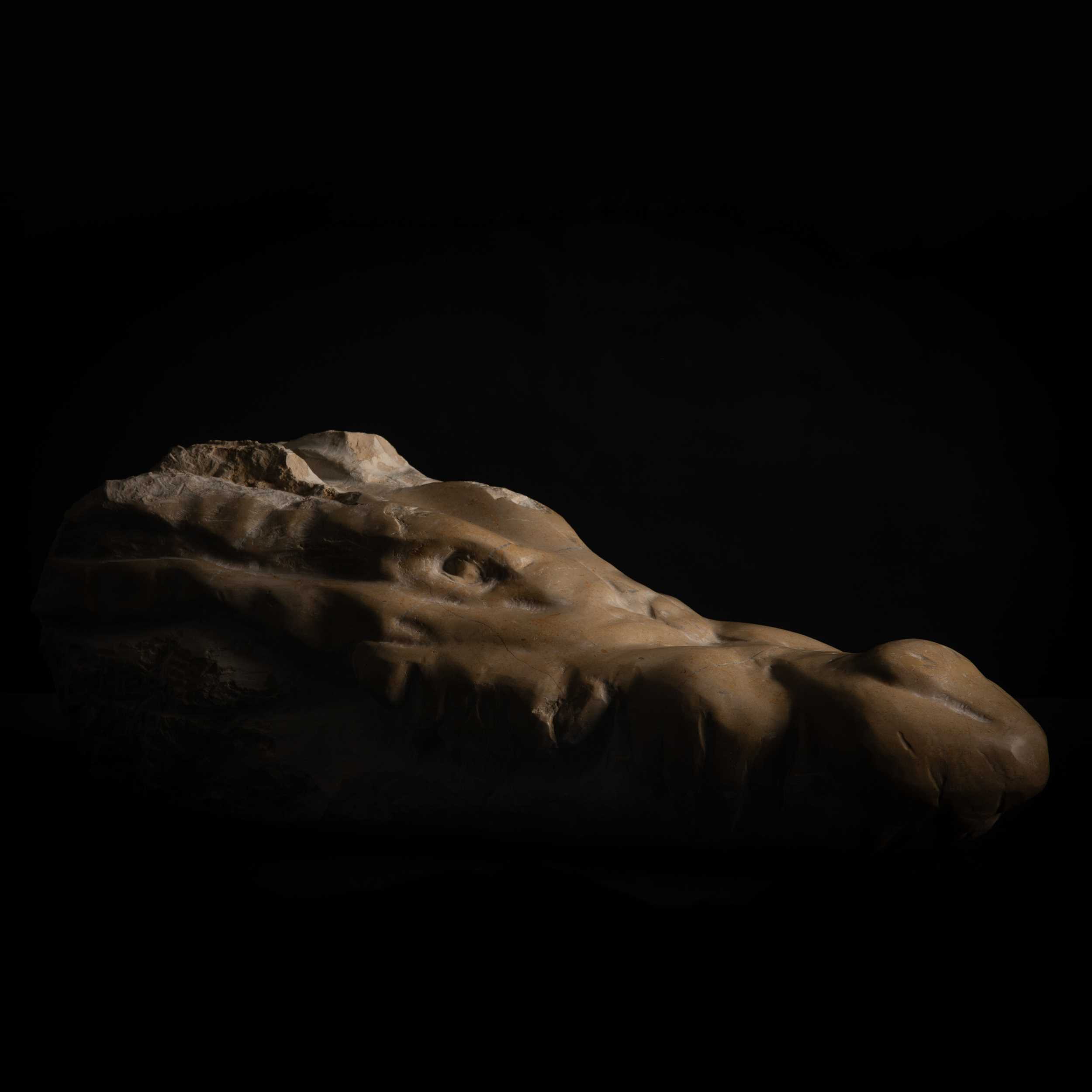 Miniatura de escultura de cabeza de cocodrilo decapitada tallada en piedra caliza, obra de Darío Zoel