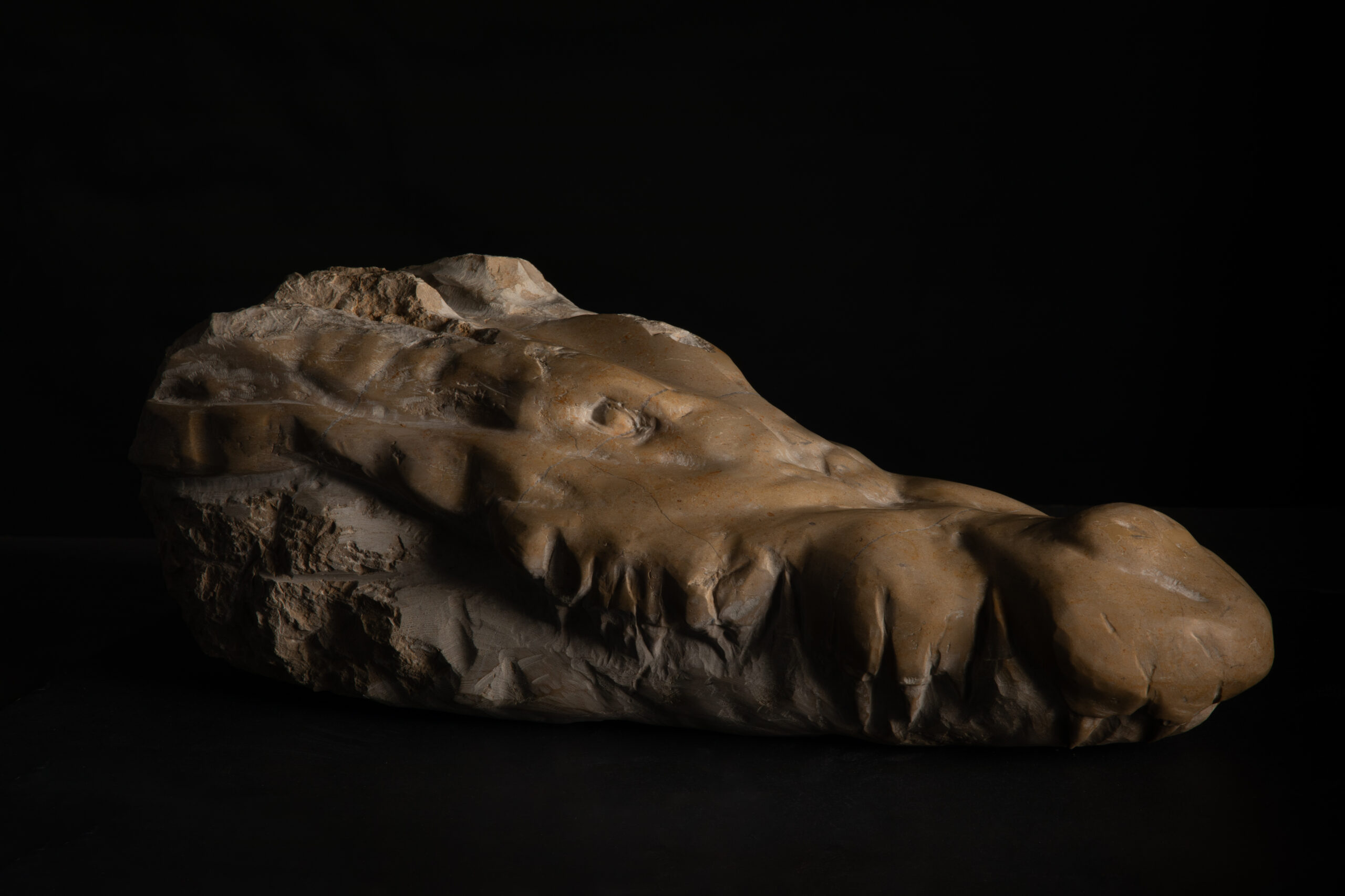 Vista general de escultura de cabeza de cocodrilo decapitada tallada en piedra caliza, obra de Darío Zoel