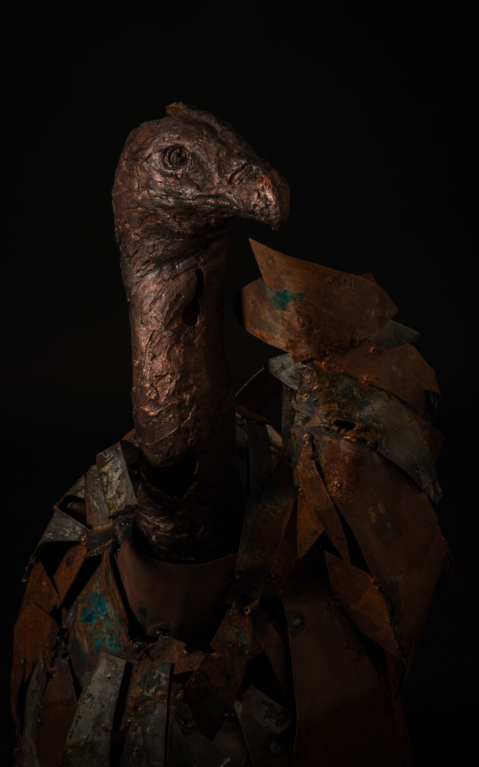 Detalle 2 de la cabeza de escultura contemporánea de un buitre leonado en resina, metal y madera, obra de Darío Zoel