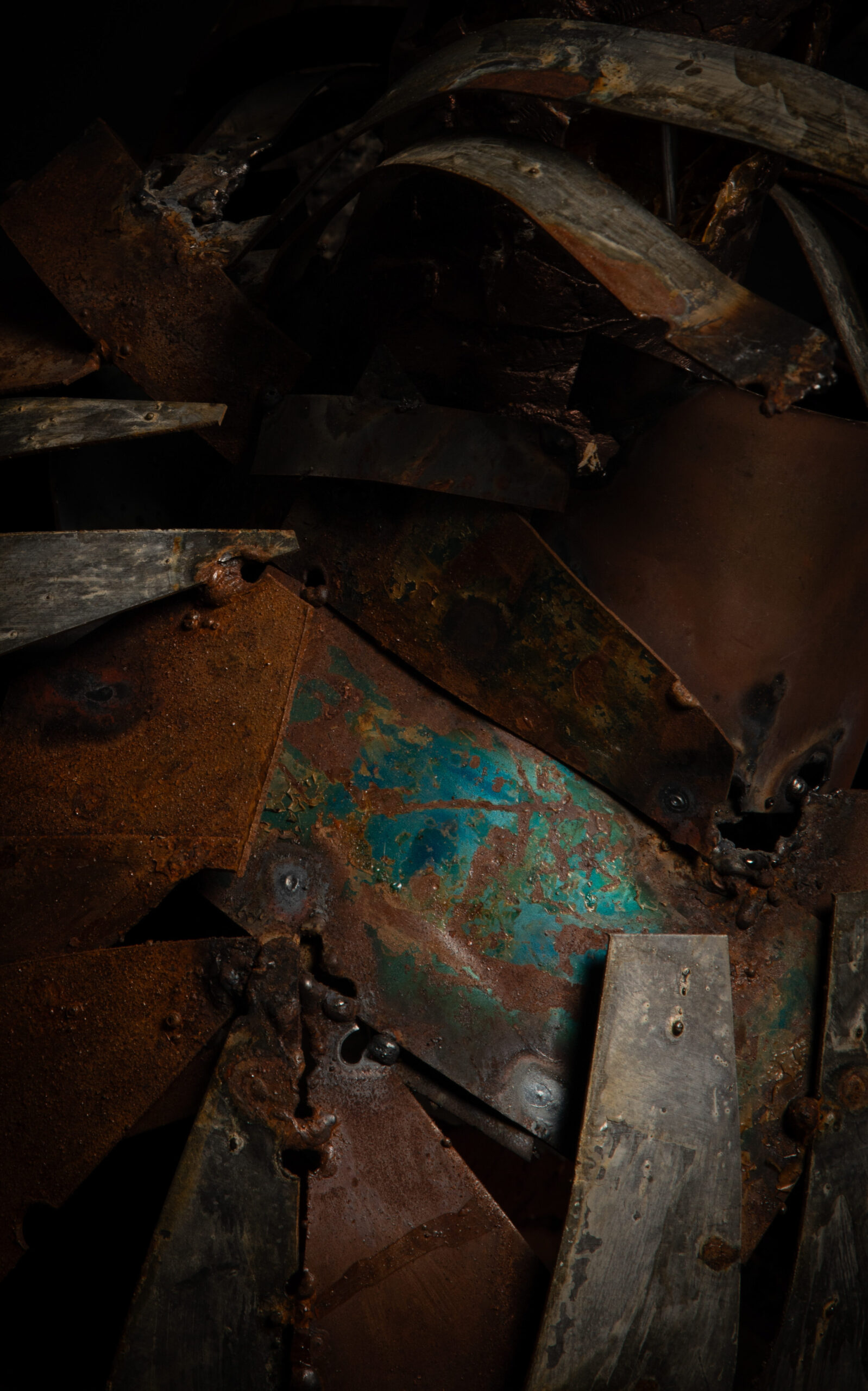 Detalle de cuerpo de escultura contemporánea de un buitre leonado en resina, metal y madera, obra de Darío Zoel
