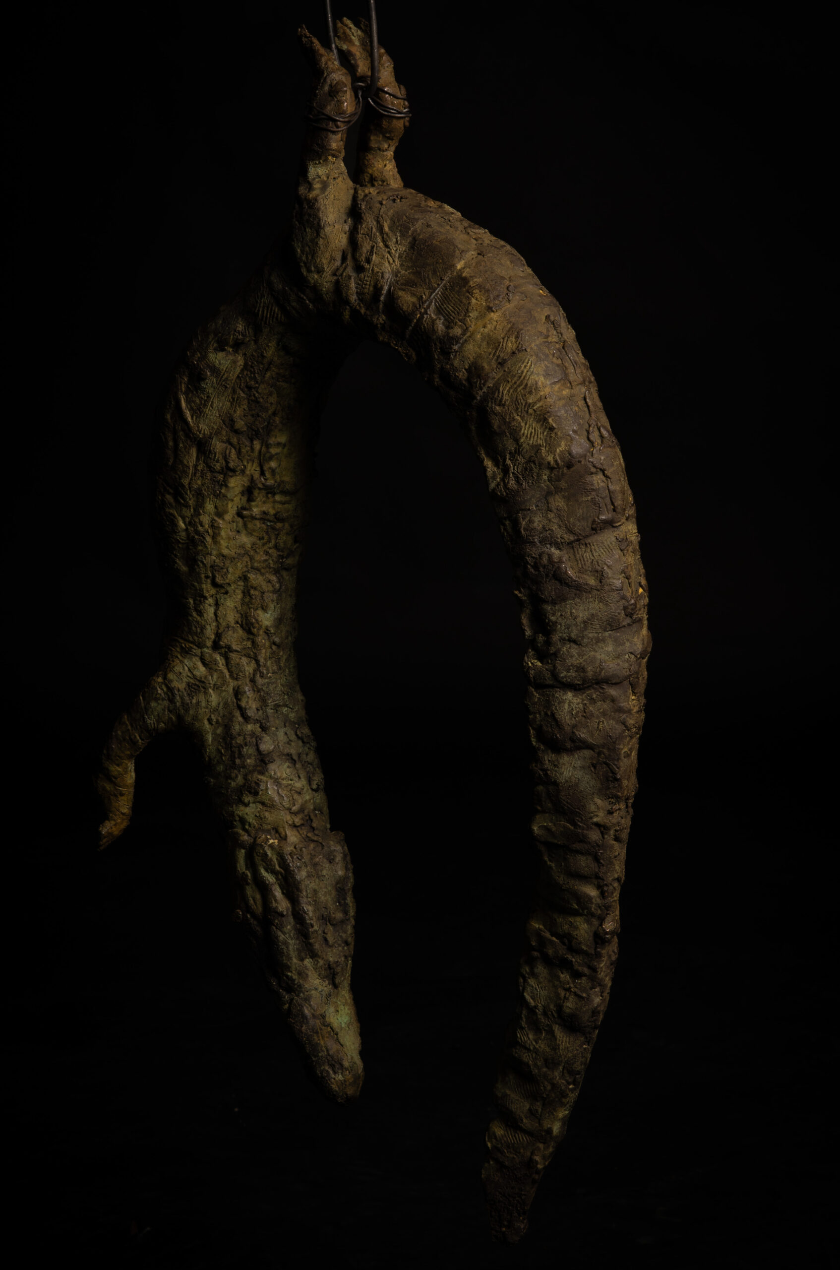 Vista general de cocodrilo colgado esculpido en bronce, escultura de Darío Zoel