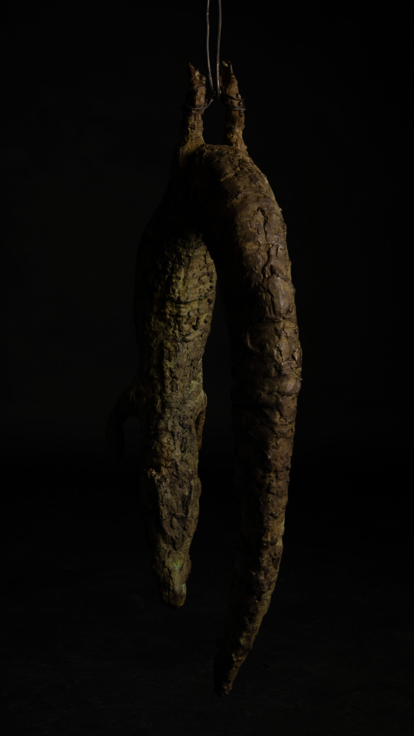 Vista general 3 de cocodrilo colgado esculpido en bronce, escultura de Darío Zoel