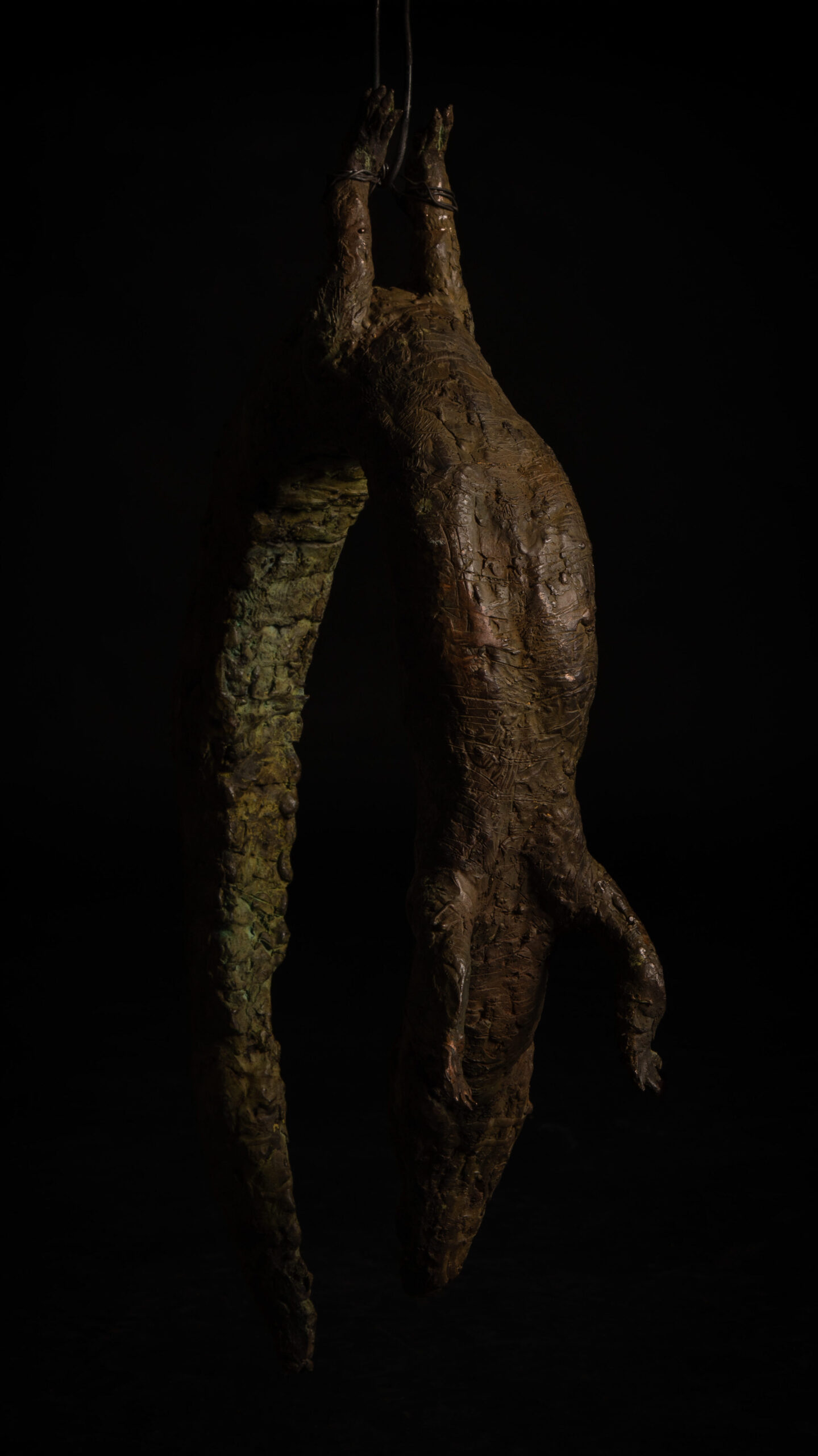 Vista general 2 de cocodrilo colgado esculpido en bronce, escultura de Darío Zoel