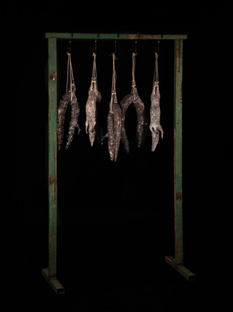 Detalle de escultura de cocodrilo colgado Archivo de cuerpos, escultura de Darío Zoel