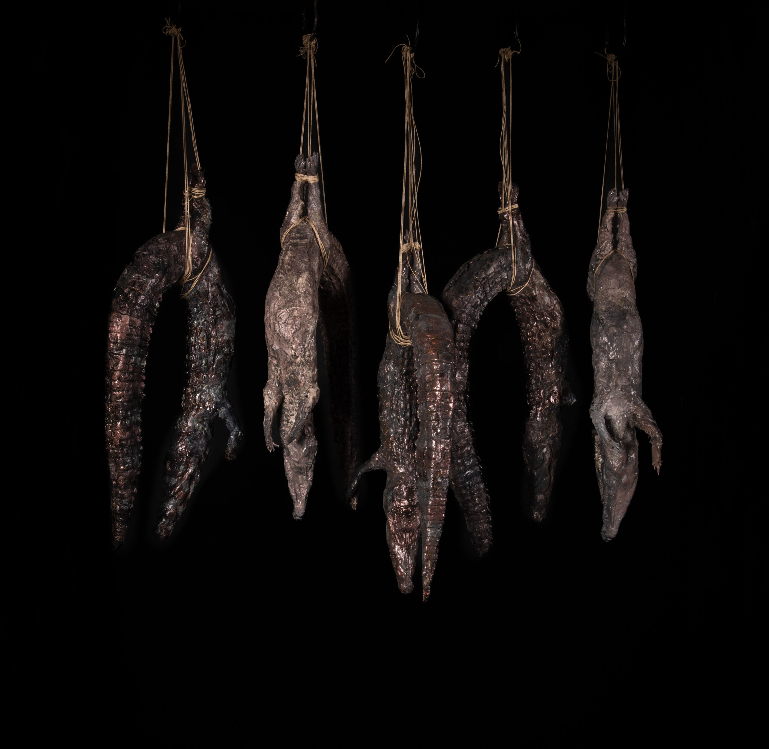 Escultura de cocodrilo colgado Archivo de cuerpos, escultura de Darío Zoel