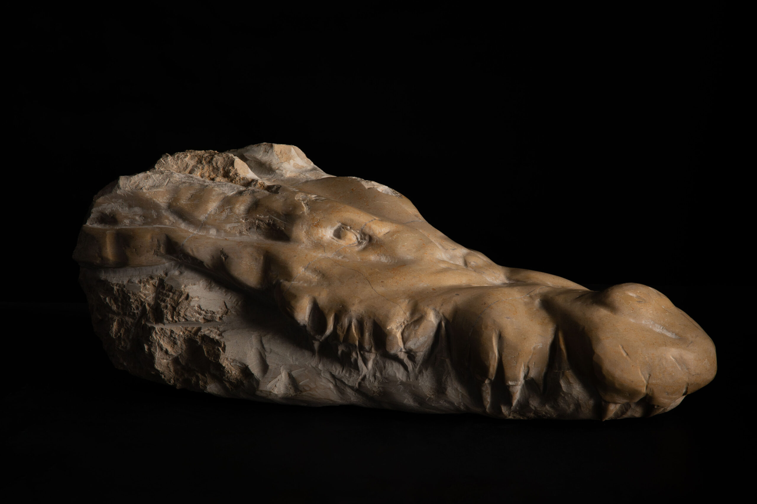 Vista general de escultura de cabeza de cocodrilo decapitada tallada en piedra caliza, obra de Darío Zoel