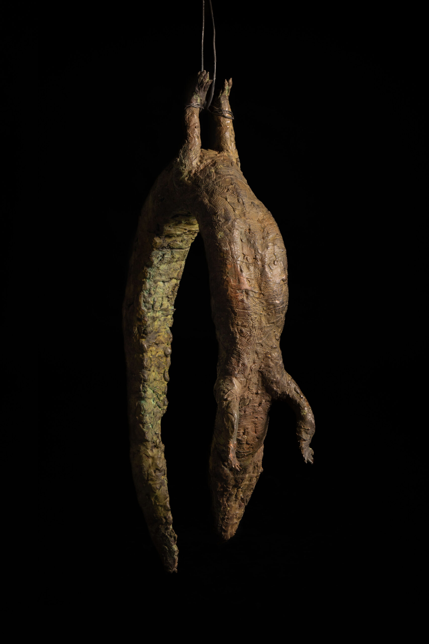 Vista general 2 de cocodrilo colgado esculpido en bronce, escultura de Darío Zoel