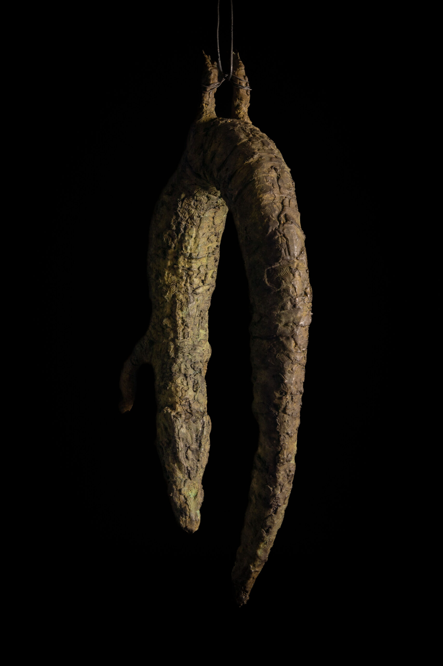 Vista general 3 de cocodrilo colgado esculpido en bronce, escultura de Darío Zoel