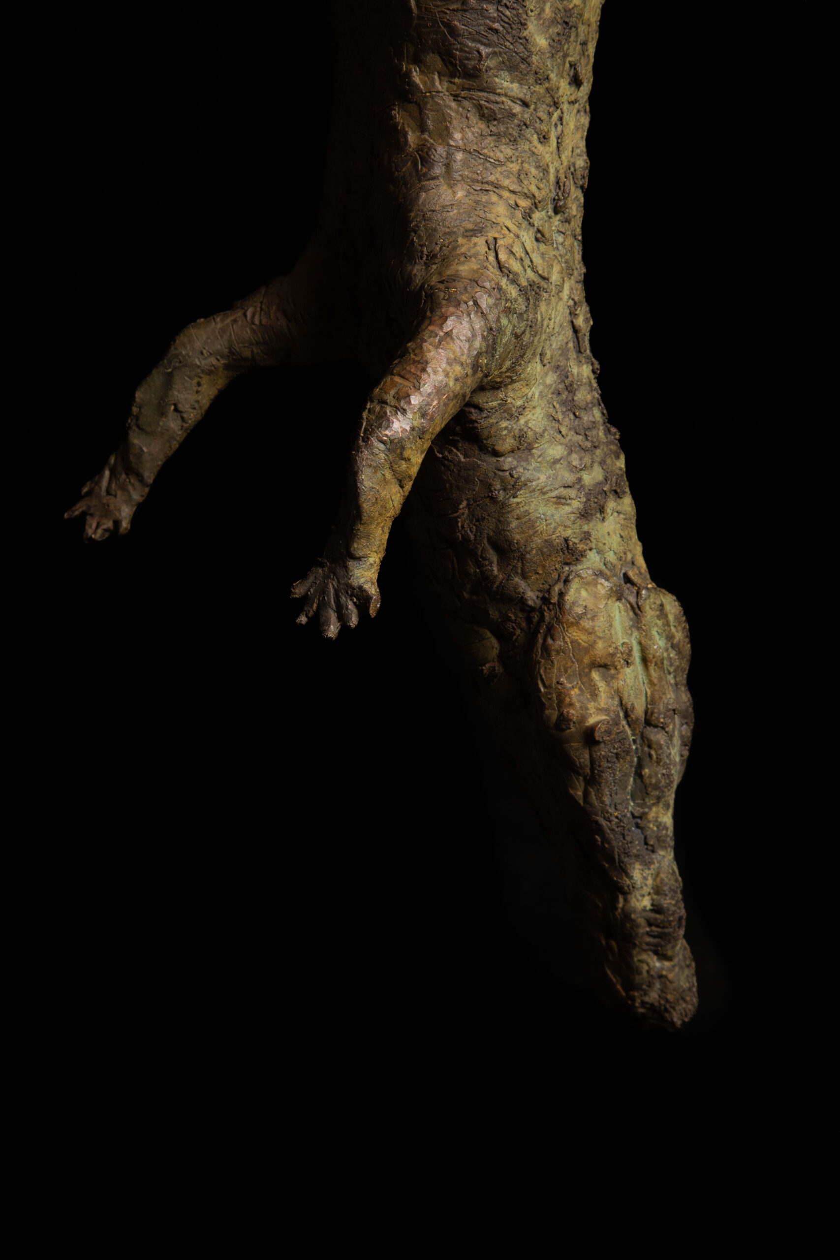 Detalle de cocodrilo colgado esculpido en bronce, escultura de Darío Zoel